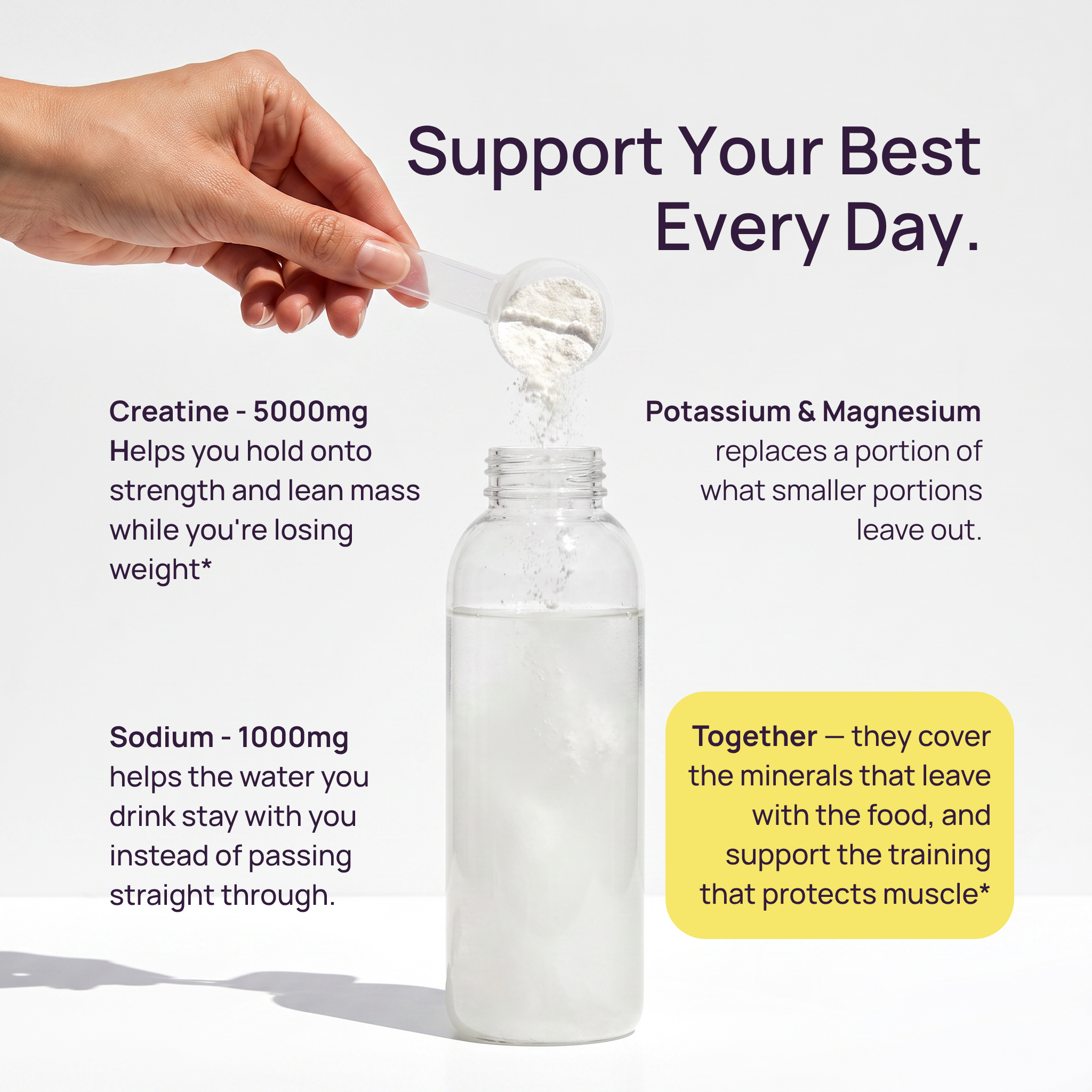 Muscle + Hydration